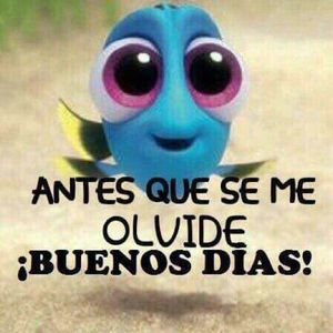 Meet your Posher, Federico